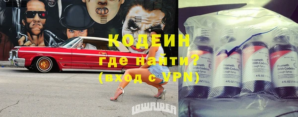 ГАЛЛЮЦИНОГЕННЫЕ ГРИБЫ Корсаков
