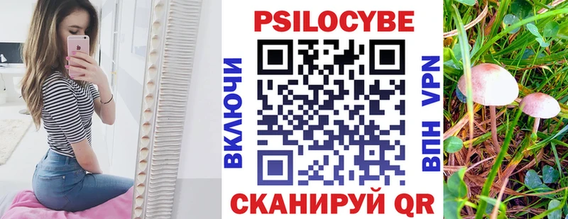 ОМГ ОМГ как войти  Чусовой  Псилоцибиновые грибы Psilocybine cubensis 